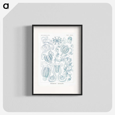 1-80_Ernst-Haeckel_blk