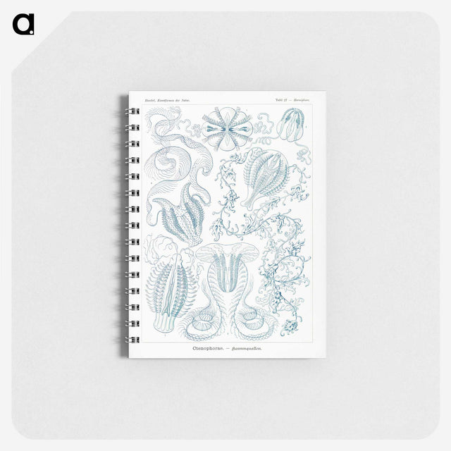1-80_Ernst-Haeckel_memo