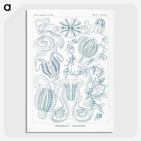1-80_Ernst-Haeckel_picture-crop
