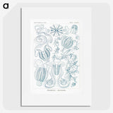 1-80_Ernst-Haeckel_picture