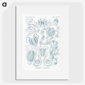 1-80_Ernst-Haeckel_picture