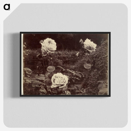 1-80_Eugene-Atget_blk-crop
