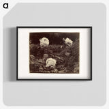1-80_Eugene-Atget_blk