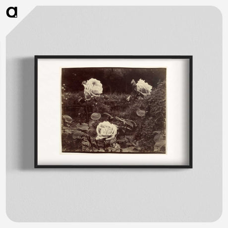 1-80_Eugene-Atget_blk
