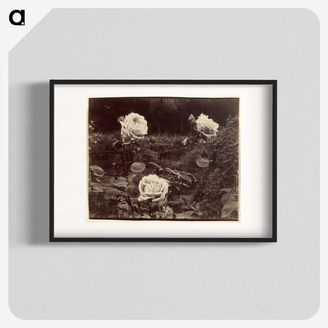 1-80_Eugene-Atget_blk