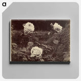 1-80_Eugene-Atget_canvas