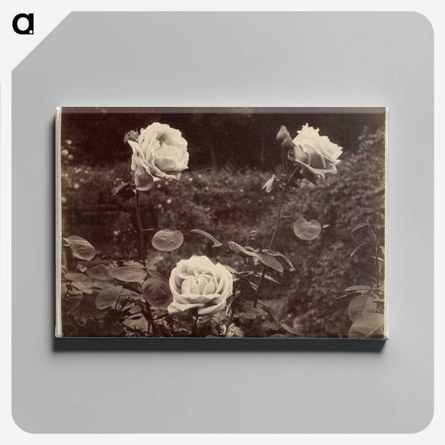 1-80_Eugene-Atget_canvas