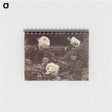 1-80_Eugene-Atget_memo