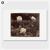 1-80_Eugene-Atget_picture