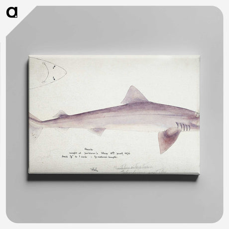 1-80_Frank-Edward-Clarke_canvas