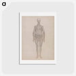 アートポストカード-Human Figure, Anterior View
 - ジョージ スタッブス Postcard.