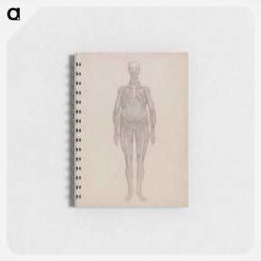 アートメモ帳-Human Figure, Anterior View
 - ジョージ スタッブス Memo.
