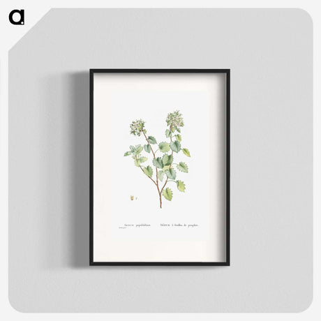 1-80_Histoire-des-Plantes-Grasses_blk