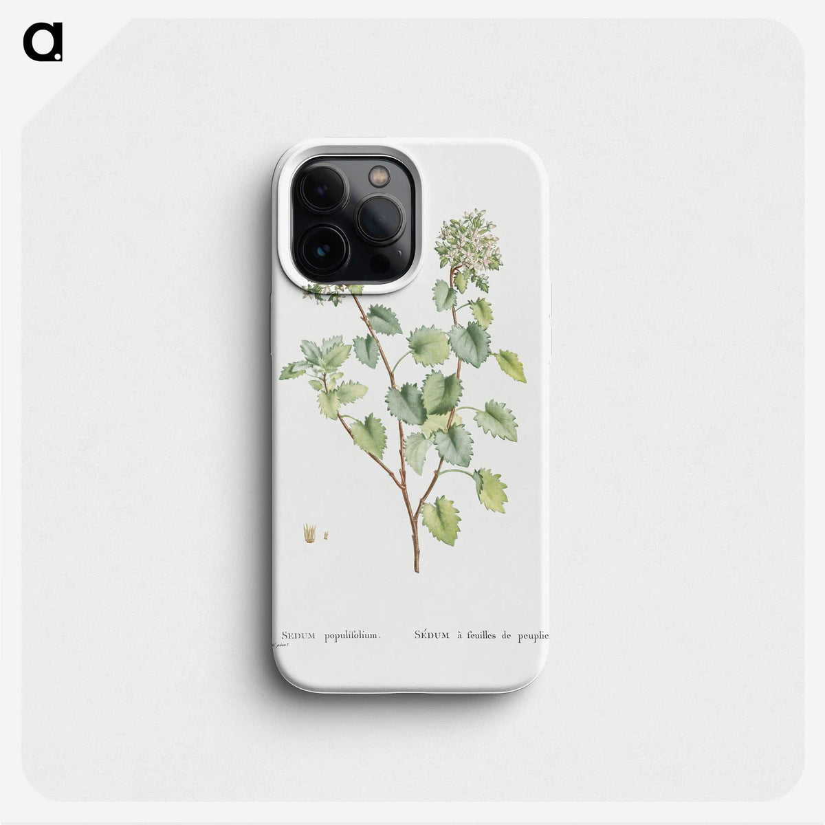 1-80_Histoire-des-Plantes-Grasses_phone