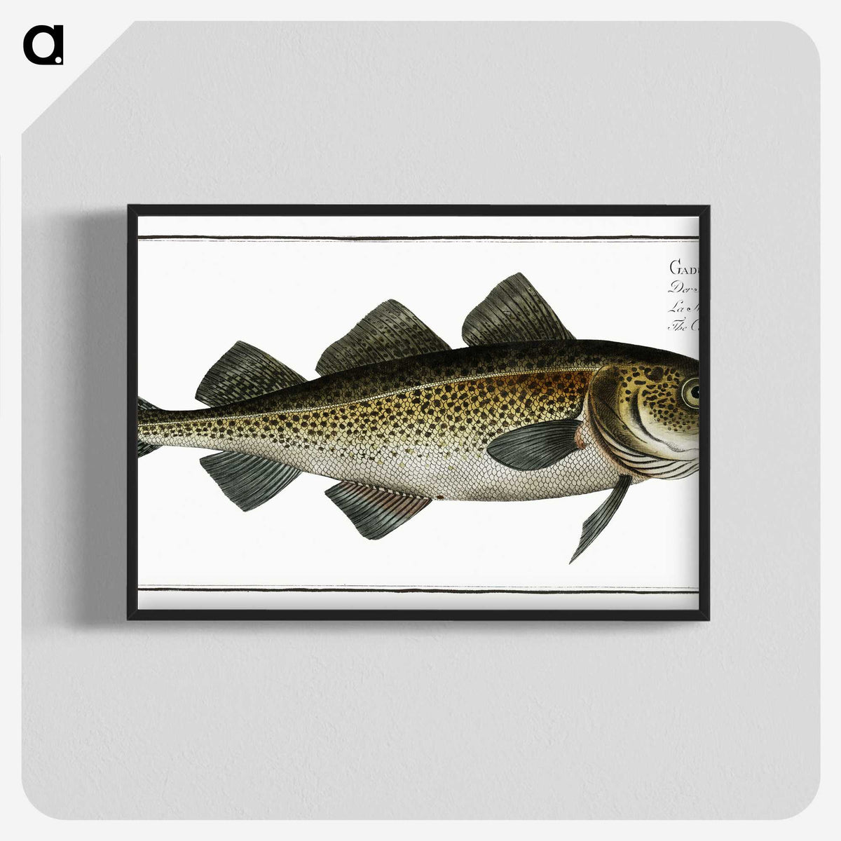 1-80_Ichtyologie-ou-Histoire-naturelle_blk-crop