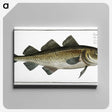 1-80_Ichtyologie-ou-Histoire-naturelle_canvas