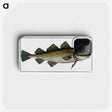 1-80_Ichtyologie-ou-Histoire-naturelle_phone