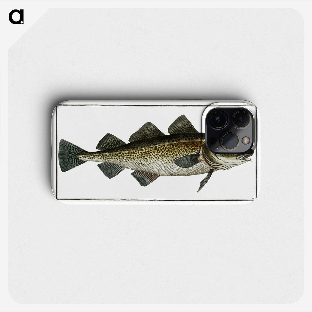1-80_Ichtyologie-ou-Histoire-naturelle_phone