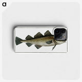 1-80_Ichtyologie-ou-Histoire-naturelle_phone