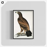 1-80_Indian-Zoology_blk-crop