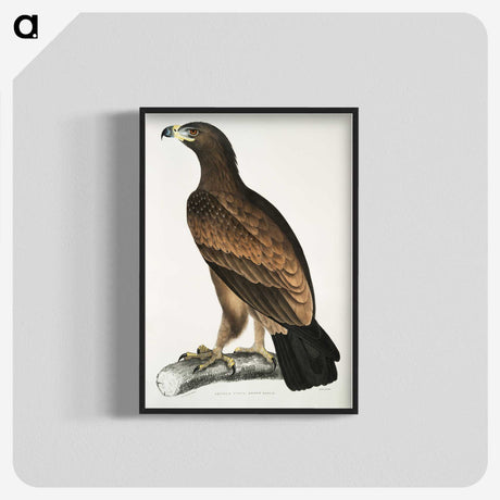 1-80_Indian-Zoology_blk-crop