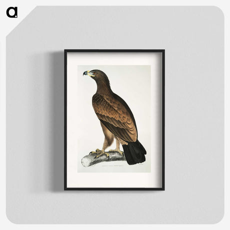 1-80_Indian-Zoology_blk