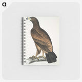 1-80_Indian-Zoology_memo