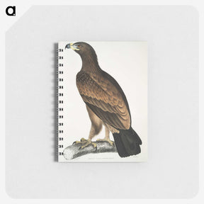 1-80_Indian-Zoology_memo