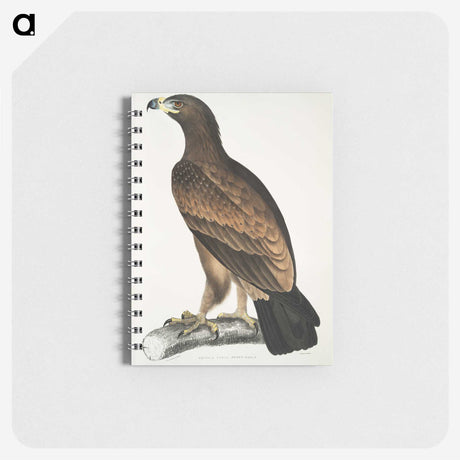 1-80_Indian-Zoology_memo