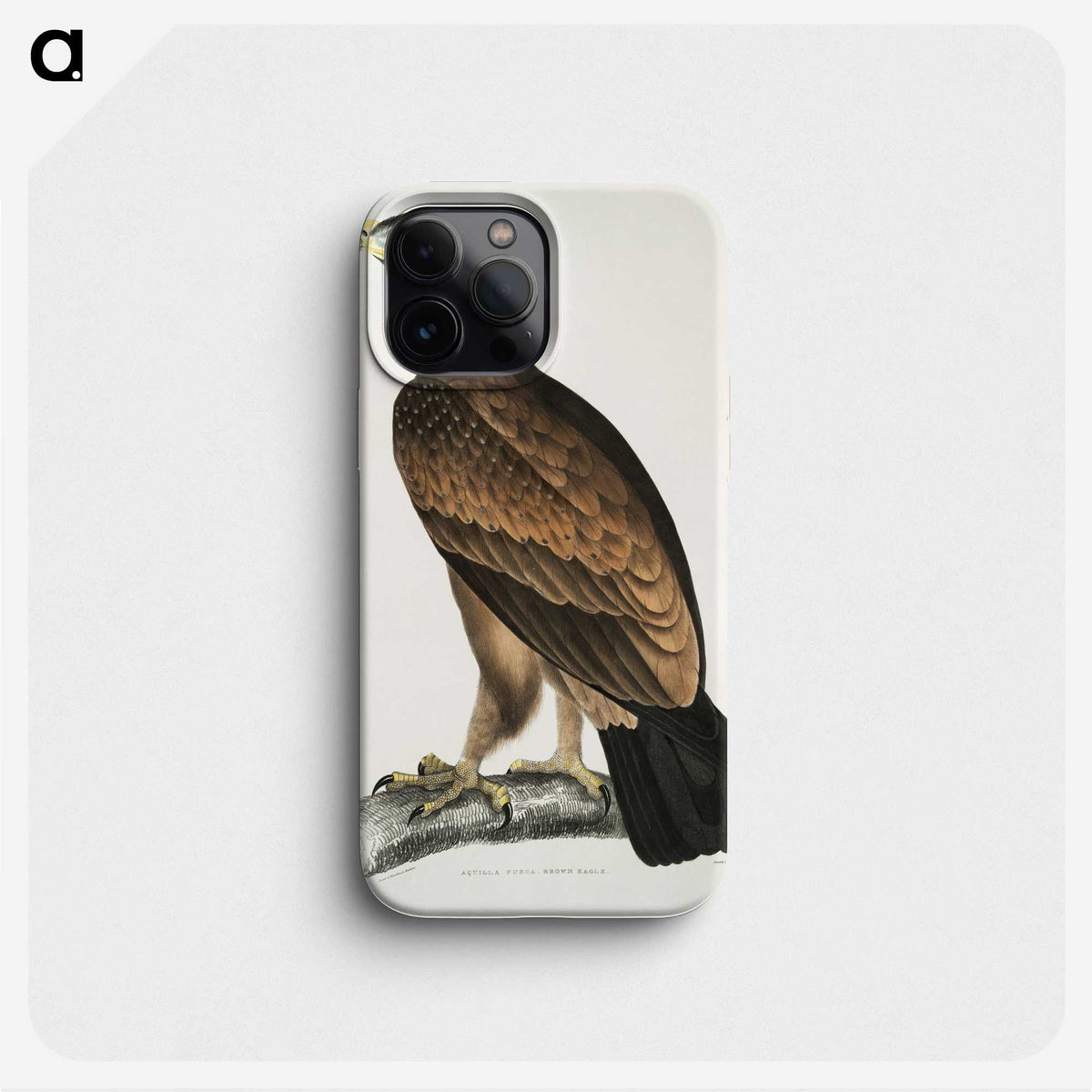 1-80_Indian-Zoology_phone
