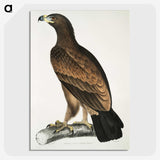 1-80_Indian-Zoology_picture-crop