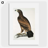 1-80_Indian-Zoology_picture
