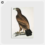 1-80_Indian-Zoology_postcard