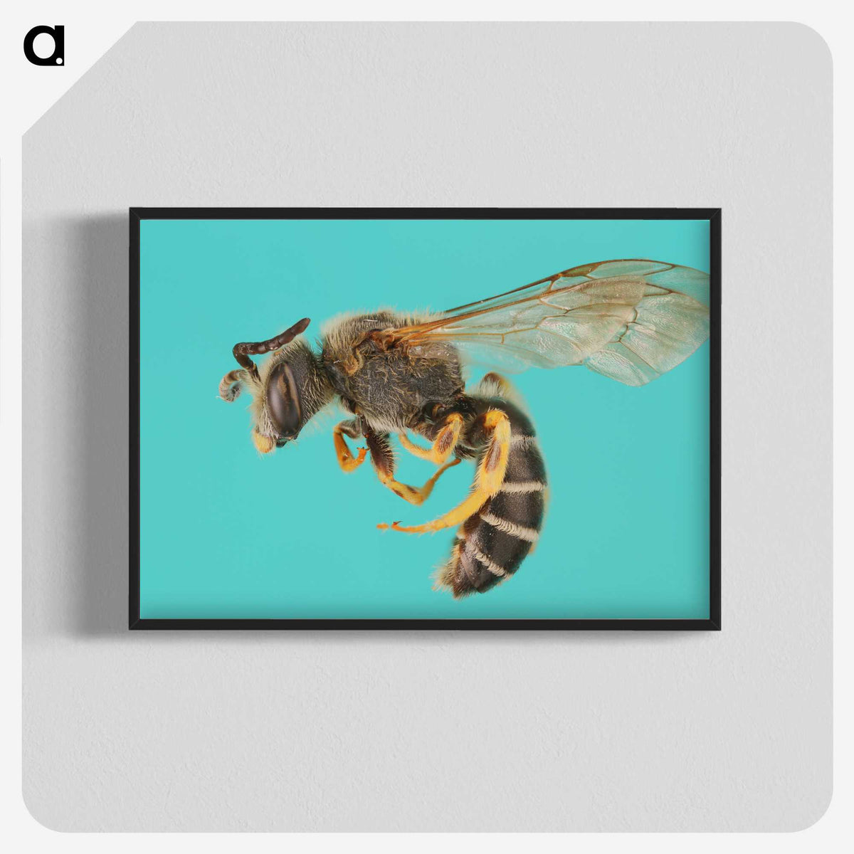 1-80_Insects-Unlocked-Project_blk-crop