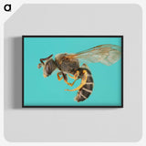 1-80_Insects-Unlocked-Project_blk-crop