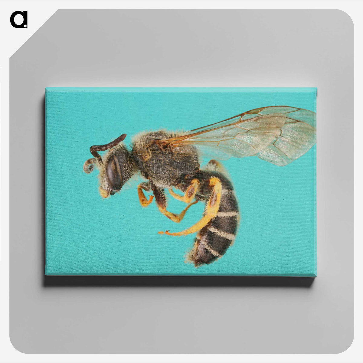 1-80_Insects-Unlocked-Project_canvas