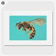 1-80_Insects-Unlocked-Project_picture