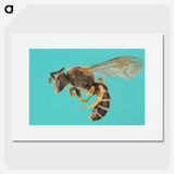 1-80_Insects-Unlocked-Project_picture