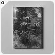 1-80_James-Walter-Chapman-Taylor_canvas