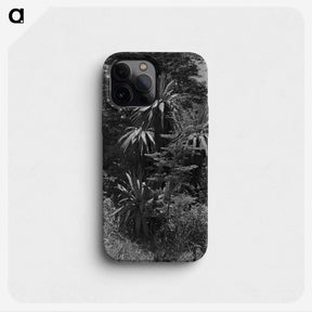 1-80_James-Walter-Chapman-Taylor_phone