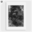 1-80_James-Walter-Chapman-Taylor_picture