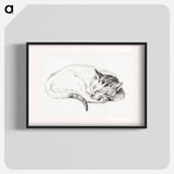 Sketch of a sleeping cat - Jean Bernard Poster.