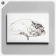 アートパネル-Sketch of a sleeping cat - ジャン ベルナール Canvas.