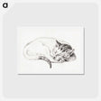 アートポストカード-Sketch of a sleeping cat - ジャン ベルナール Postcard.