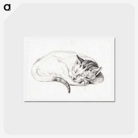 アートポストカード-Sketch of a sleeping cat - ジャン ベルナール Postcard.