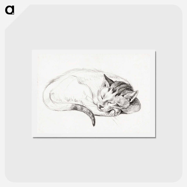アートポストカード-Sketch of a sleeping cat - ジャン ベルナール Postcard.