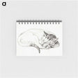 1-80_Jean-Bernard_memo