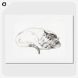 1-80_Jean-Bernard_picture