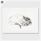 1-80_Jean-Bernard_picture