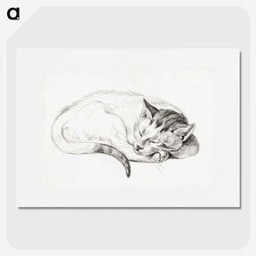1-80_Jean-Bernard_picture
